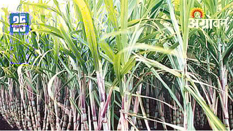 Farmers Protest