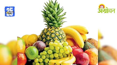 Fruit Crop Insurance