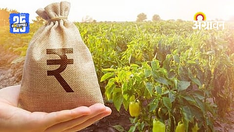 Crop Loan