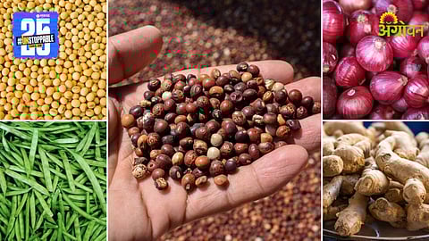 Agriculture Market Products