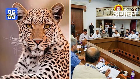Leopard Control