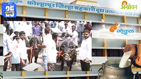 Gokul Dudh Utpadak Morcha 