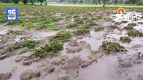 Crop Loss Relief