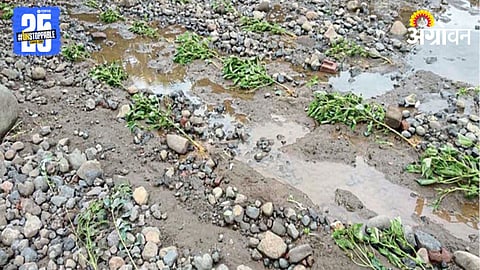 Flood Crop Damage 
