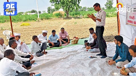 Soil Fertility 