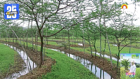 Agriculture