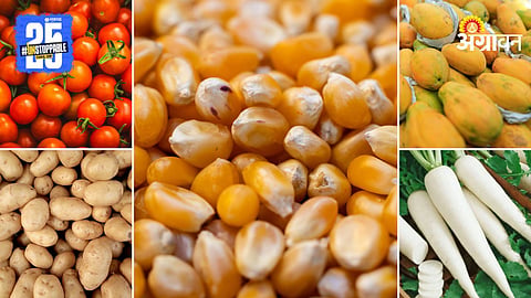 Agriculture Market Products
