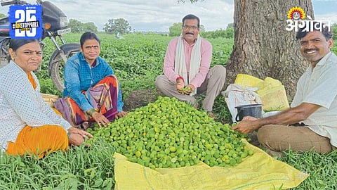 Sustainable Agriculture