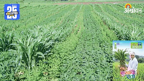 Agriculture