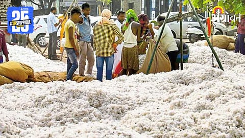 Cotton Market