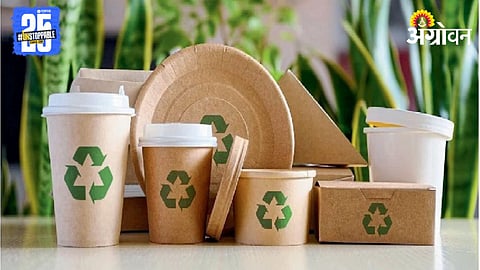 Biodegradable Packaging 