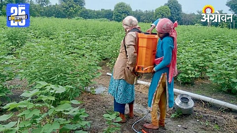 Family Farming 