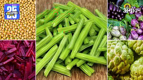 Agriculture Market Products