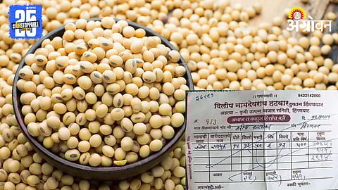 Soybean Rate