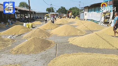 Soybean Procurement