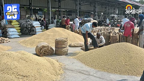 Soybean Market
