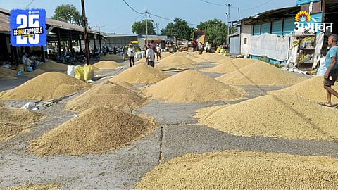 Soybean Market