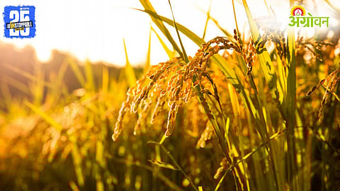 Foodgrain Production