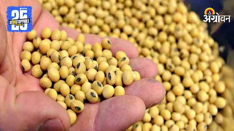Soybean Procurement