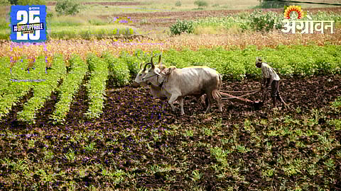 Natural Farming