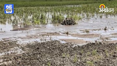 Farmers Protest