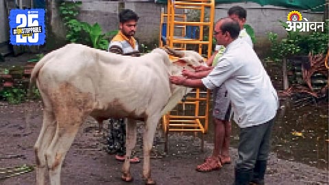 Animal Husbandry