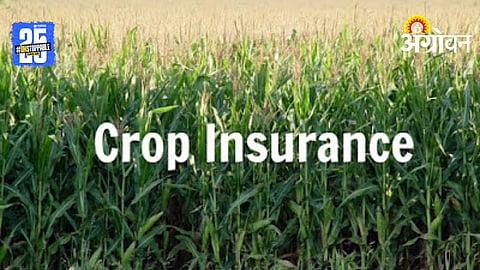 Crop Insurance