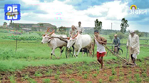 Indian Agriculture