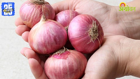 Onion Prices