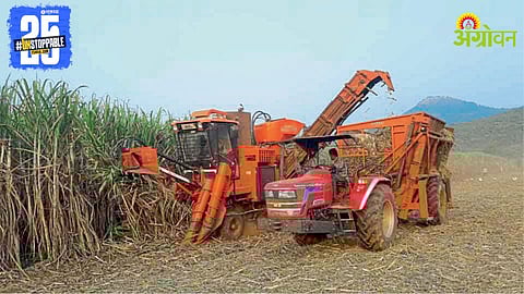 Sugarcane Farming