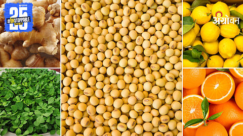 Agriculture Market Products