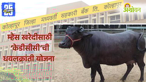 Kolhapur Jilha Bank