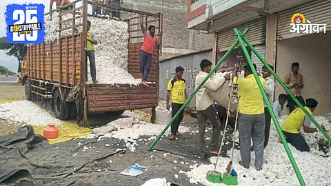 Cotton Market