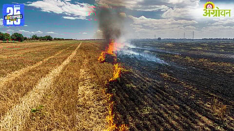 Stubble Burning
