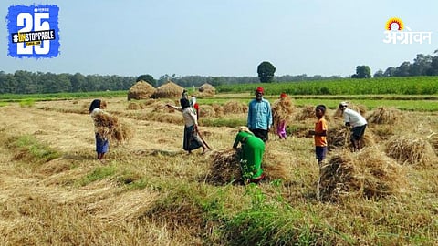Crop Harvesting
