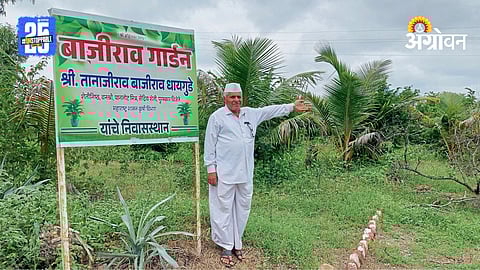 Sustainable Farming