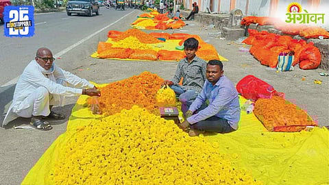 Marigold Price
