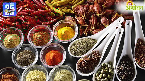 Spice Market