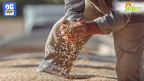 Soybean Farmer Crisis
