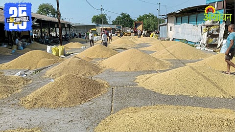 Soybean Market