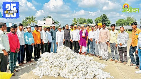Cotton Market
