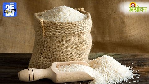 India Rice Exports
