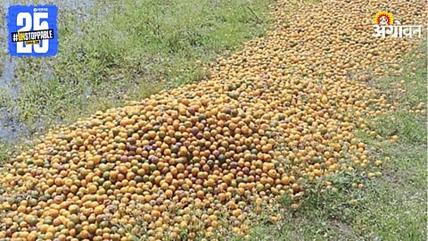Crop Damage