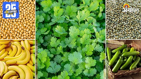 Agriculture Market Products