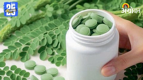 Moringa Processing 