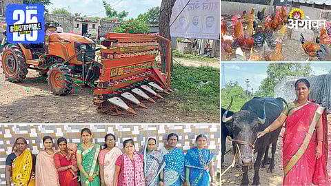 Agriculture Success