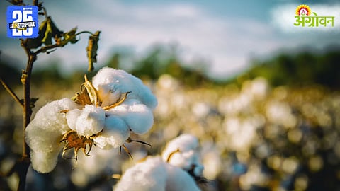 Maharashtra Cotton Farmers