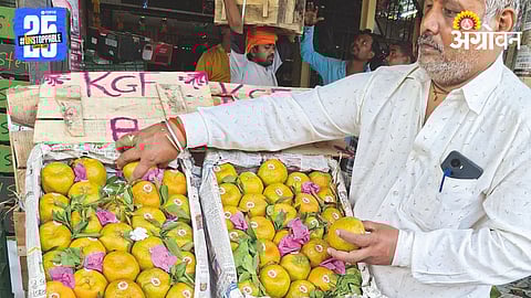 Orange Market