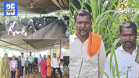 Dairy Farming 