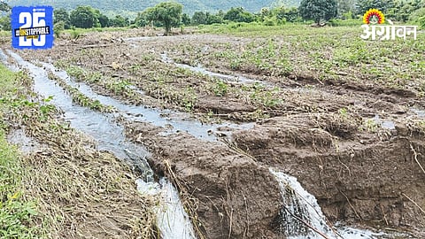 Crop Damage 